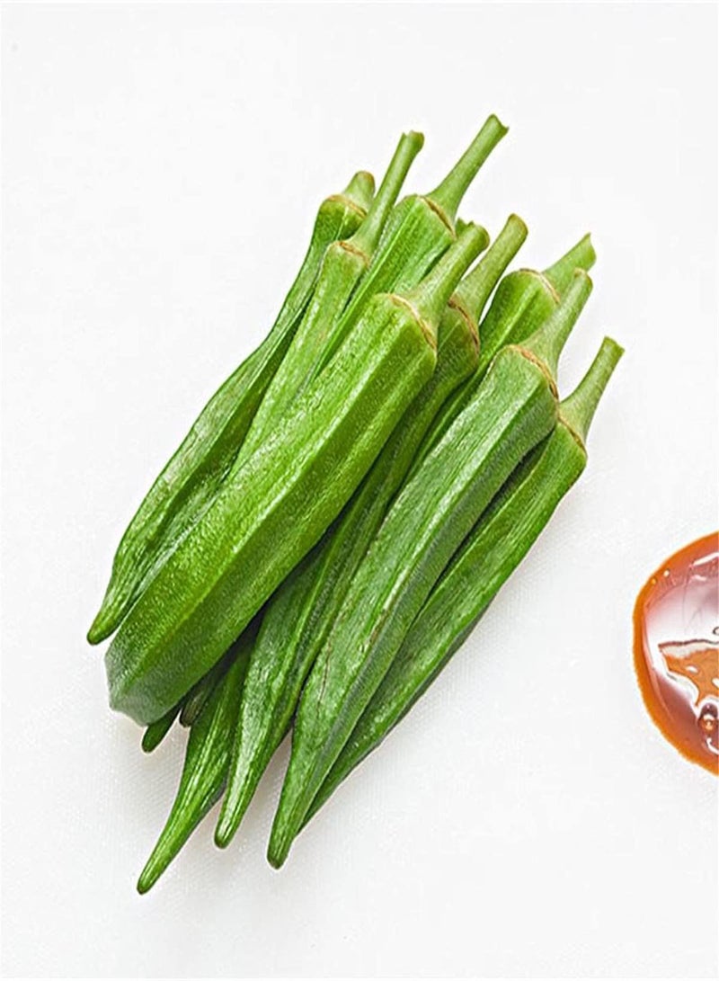 GGOOT Okra Seeds for Planting/Collection Gift Seeds Cute Veg Delicious Stunning-300pcs - Image 1