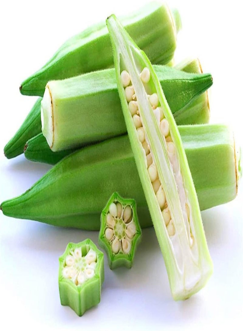 GGOOT Okra Seeds for Planting/Collection Gift Seeds Cute Veg Delicious Stunning-300pcs - Image 2