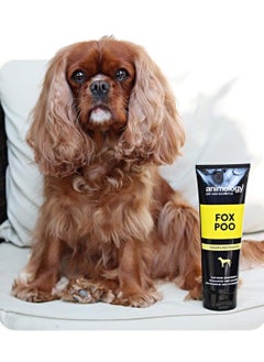 Fox Poo Dog Shampoo 250ml - pzsku/ZC06BD5A896DED24E8245Z/45/_/1739267314/5d4a5ae3-9ea7-4320-b059-d25fdc8b24af