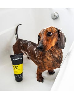 Fox Poo Dog Shampoo 250ml - pzsku/ZC06BD5A896DED24E8245Z/45/_/1739267322/16c5dc71-b79c-4f92-b9bf-774e72cf417c