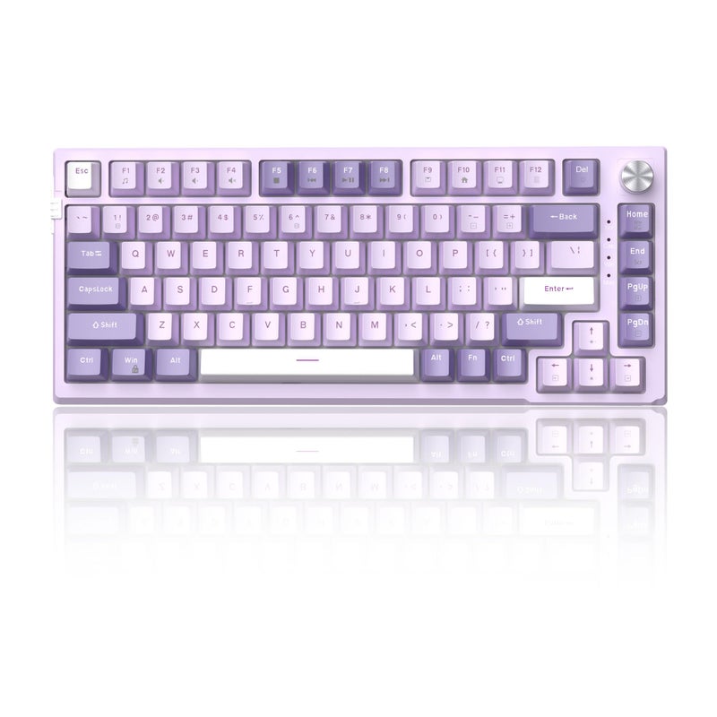MageGee SKY81 75% Mechanical Gaming Keyboard, Gasket Hot Swappable Wired Custom Creamy Keyboard with 5-Layer Sound Dampening, Knob Control, RGB Backlit, NKRO for Win/Mac (Violet, Violet Switch) - Image 1