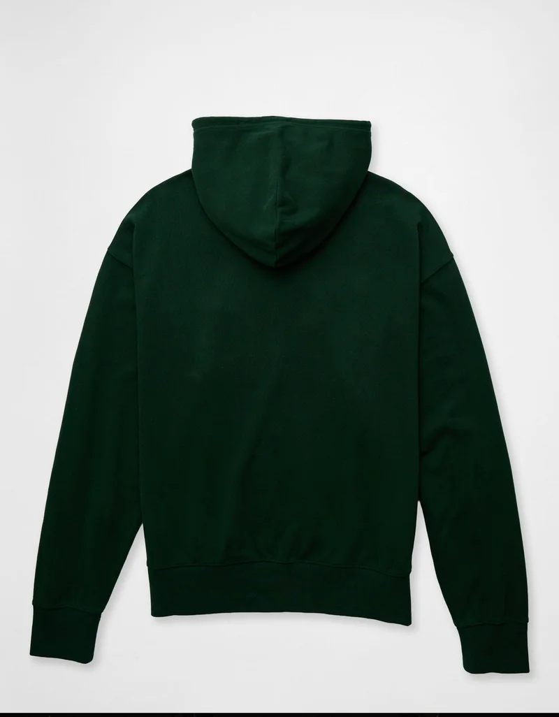 American Eagle AE Full-Zip Graphic Hoodie