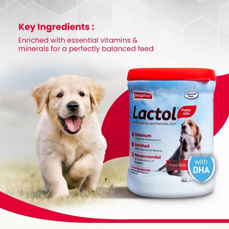 beaphar حليب كلاب الجراء بيفار لاكتول للكلاب حديثي الولادة مع DHA والفيتامينات والمعادن، بديل حليب الجراء، مجموعة تغذية لاكتول مجانية - 400 جرام - Image 3