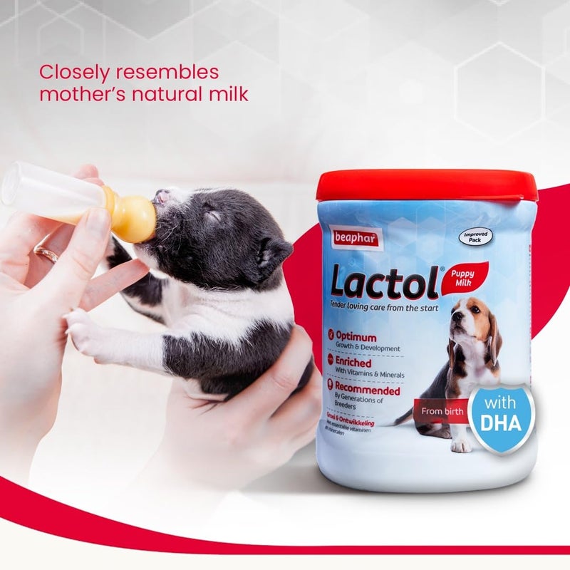 beaphar حليب كلاب الجراء بيفار لاكتول للكلاب حديثي الولادة مع DHA والفيتامينات والمعادن، بديل حليب الجراء، مجموعة تغذية لاكتول مجانية - 400 جرام - Image 5