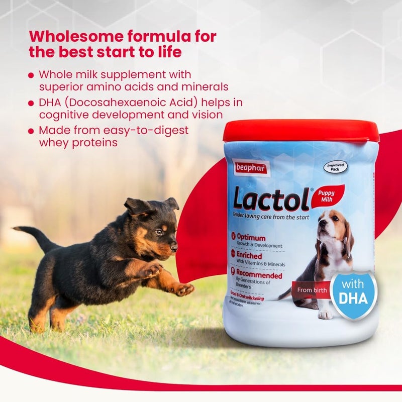 beaphar حليب كلاب الجراء بيفار لاكتول للكلاب حديثي الولادة مع DHA والفيتامينات والمعادن، بديل حليب الجراء، مجموعة تغذية لاكتول مجانية - 400 جرام - Image 4