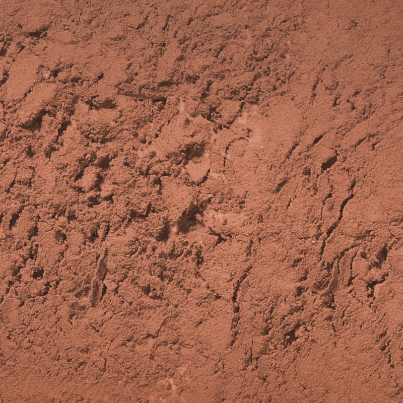 Palladio Brow Powder for Eyebrows, Soft and Natural Eyebrow Powder with Jojoba Oil & Shea Butter, Helps Enhance & Define Brows, Compact Size for Purse or Travel, Includes Applicator Brush, Auburn - Image 2