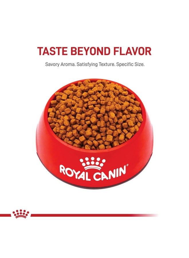 رويال كانين طعام الكلاب الجاف المخصص لسلالة بودل من رويال كانين، 2.5 رطل - Image 4