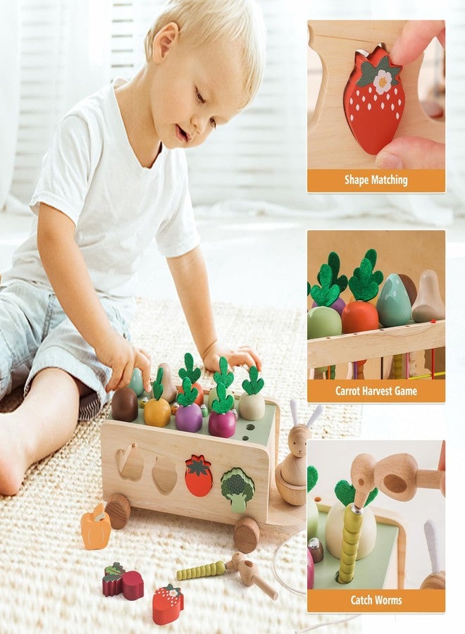OESSUF Montessori Toys Toddlers Wooden Educational Toys for Baby Boys Girls, Shape Sorting & Matching Fine Motor Skills Toys, Birthday Gifts for Kids - Image 3