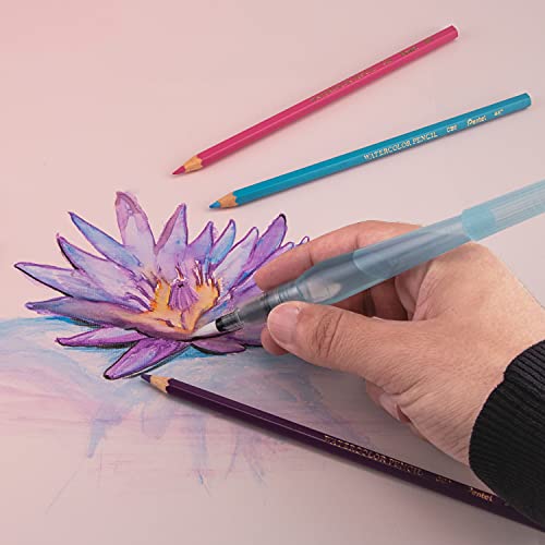 Pentel Arts Aquash Fine Point Water Brush, Large (FRHBBP) - Image 5