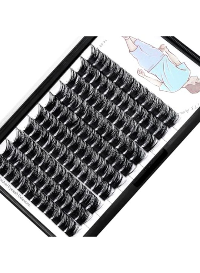 Dedila Large TrayGrafted Wide Stem Individual False Eyelashes Thick Base 120 Clusters D Curl Natural Long Volume Eye Lashes Extensions Dramatic Look 820mm Available 20mm - Image 4