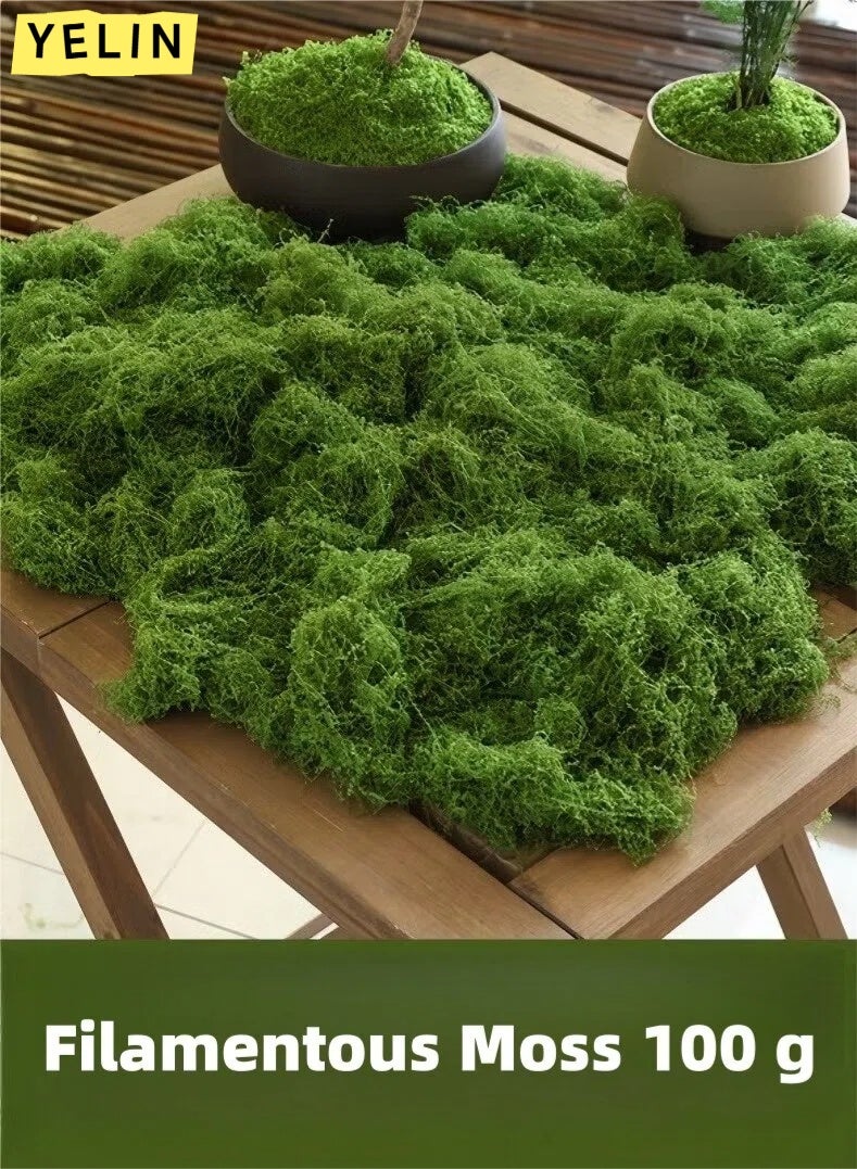 YELIN 100g Moss Grass Perfectly Simulates Artificial Moss Fake Green Grass for Centerpieces Home Kitchen Garden Decor Preserved Forest Moss - Image 1