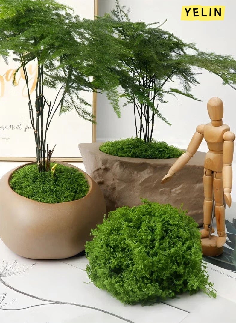 YELIN 100g Moss Grass Perfectly Simulates Artificial Moss Fake Green Grass for Centerpieces Home Kitchen Garden Decor Preserved Forest Moss - Image 5