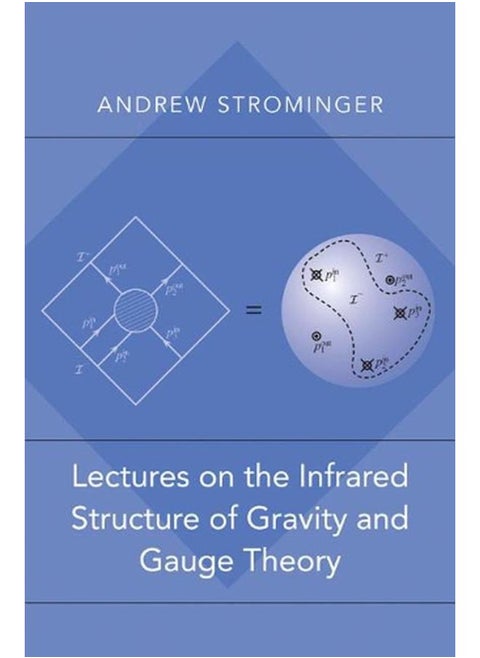 Lectures on the Infrared Structure of Gravity and Gauge Theory