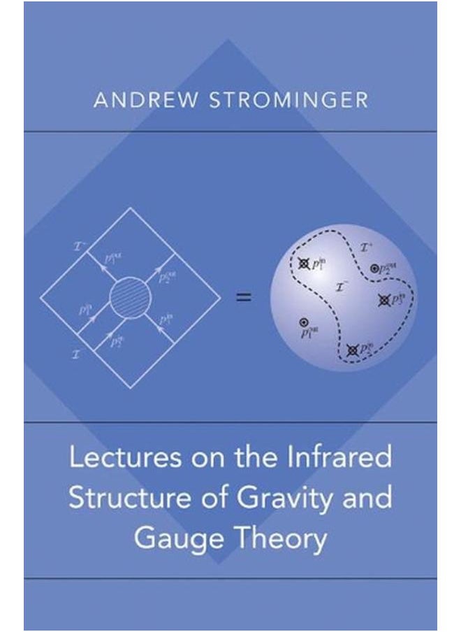 Lectures on the Infrared Structure of Gravity and Gauge Theory 