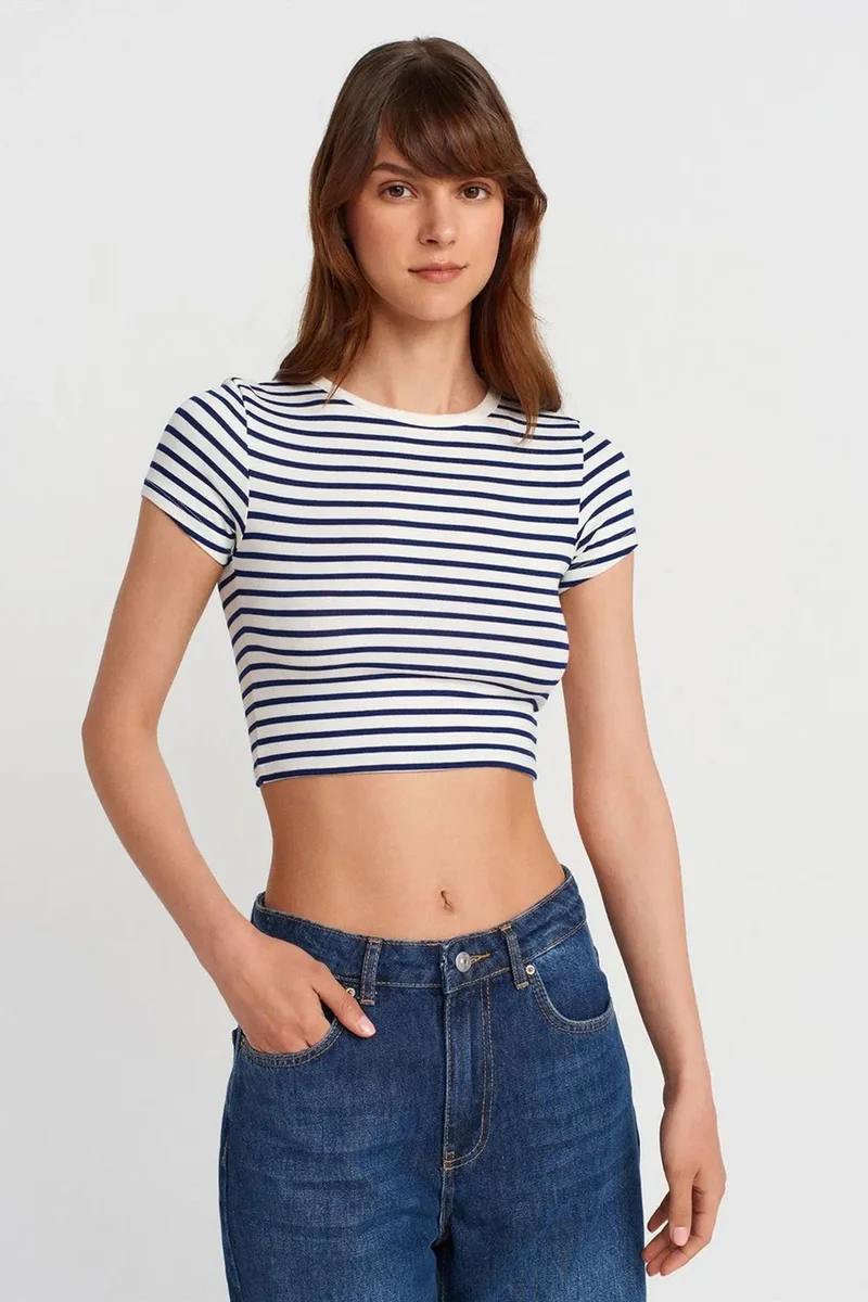 DILVIN Striped Crop Top Blouse