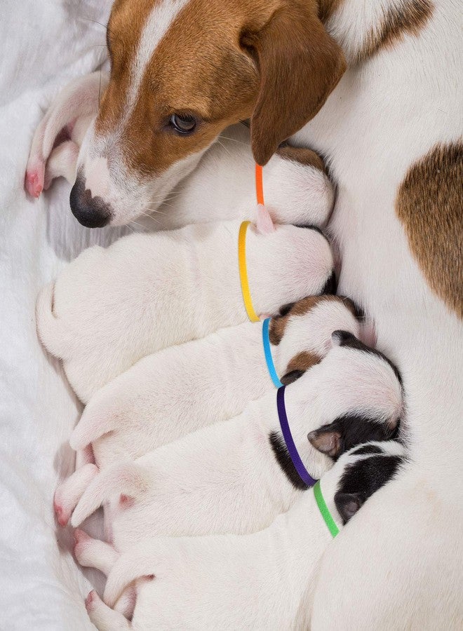 Weewooday 45 Pieces Puppy Whelping Collars Double-Sided Newborn Pet Identification Bands 3 Sizes Adjustable Puppy Collars Soft Colorful Whelp ID for Pet Kitten, 15 Colors - Image 5