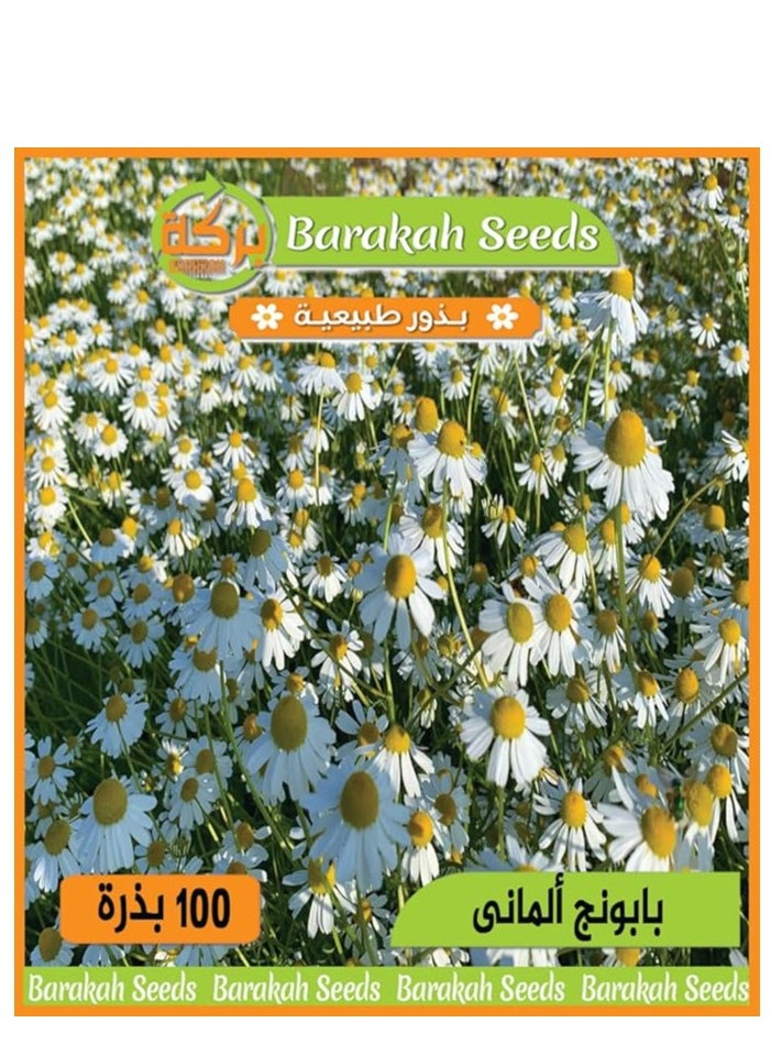Generic High germination flower seeds -German chamomile flower 
