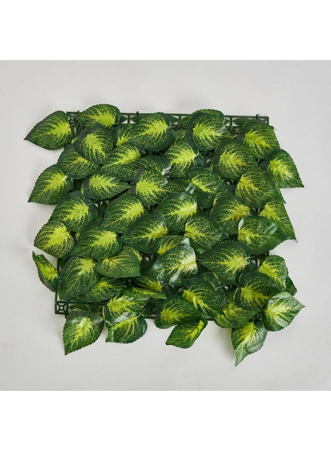 Home Box Delsa Artificial Hedge Mats Scindapsus Aureus 33 x 4 x 33 cm  - Image 5