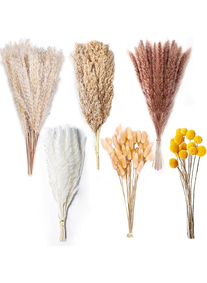 The Bros 100PCS Natural Dried Pampas Grass, 17.5" Fluffy Boho Bouquet for Home Decor, Weddings, Parties & Floral Arrangements - Chic Dried Floral Decorations for Rustic & Modern Interiors - Image 1