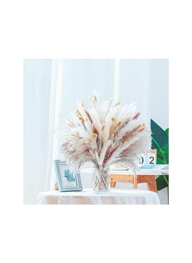 The Bros 100PCS Natural Dried Pampas Grass, 17.5" Fluffy Boho Bouquet for Home Decor, Weddings, Parties & Floral Arrangements - Chic Dried Floral Decorations for Rustic & Modern Interiors - Image 3