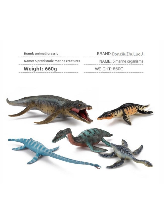 Animals Jurassic Ancient Beasts Prehistoric Biological Model Solid Plesiosaur Sliding Tooth Dragon Krou Dragon Hand-Color:5 Prehistoric Marine Creatures 660g  - Image 1