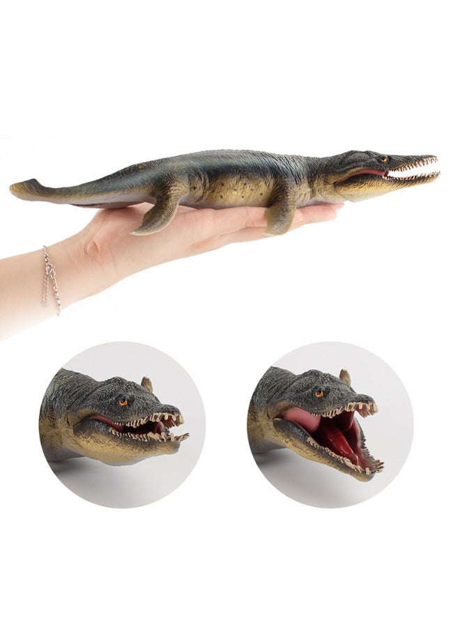 Animals Jurassic Ancient Beasts Prehistoric Biological Model Solid Plesiosaur Sliding Tooth Dragon Krou Dragon Hand-Color:5 Prehistoric Marine Creatures 660g  - Image 4