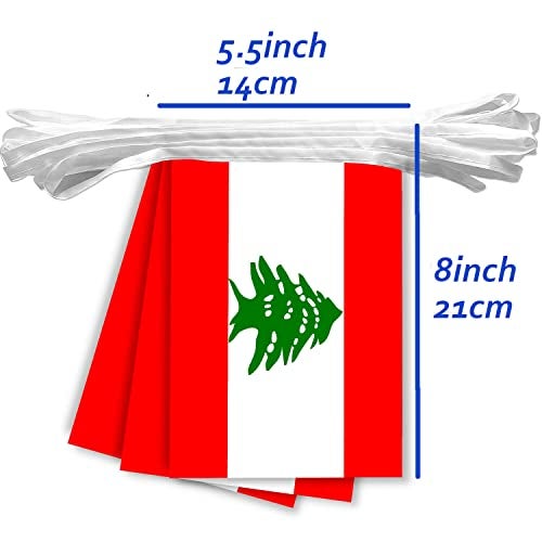 Macland 30 PCS Lebanon Flag String,32 FT Lebanese Bunting,Decoration Banner for Outdoor Indoor Patio Yard Decor - Image 2