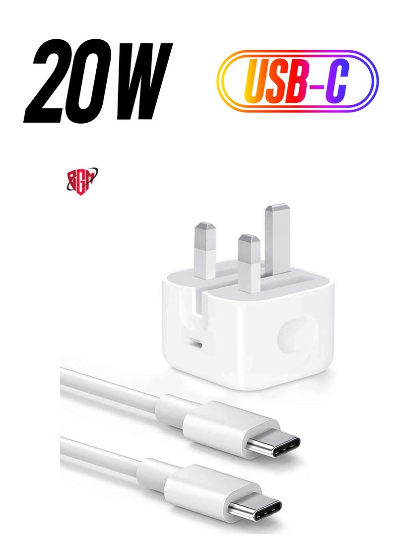 USB C charger and plug for ipad Pro, 20W Wall Fast Charger with 6.6FT USB C Fast Charging Cable Compatible for iPad Pro 12.9 5/4/3 Gen iPad Pro 11 3/2/1 Gen iPad Air 5,Galaxy S22/Note20