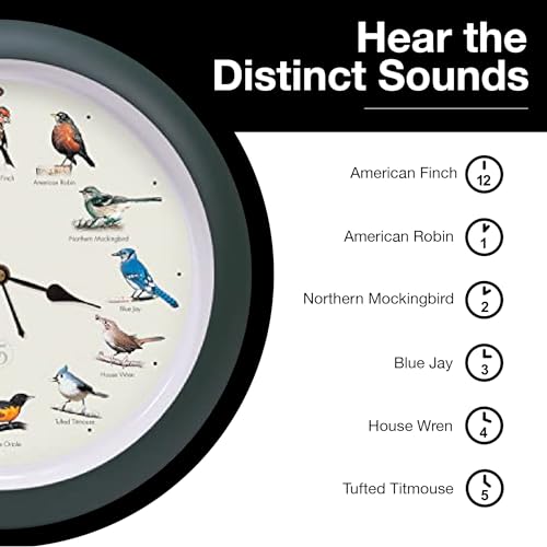 Mark Feldstein & Associates Mark Feldstein, The Original Singing Bird Clock, 25th Anniversary Edition, 13 Inch, Green - Image 5