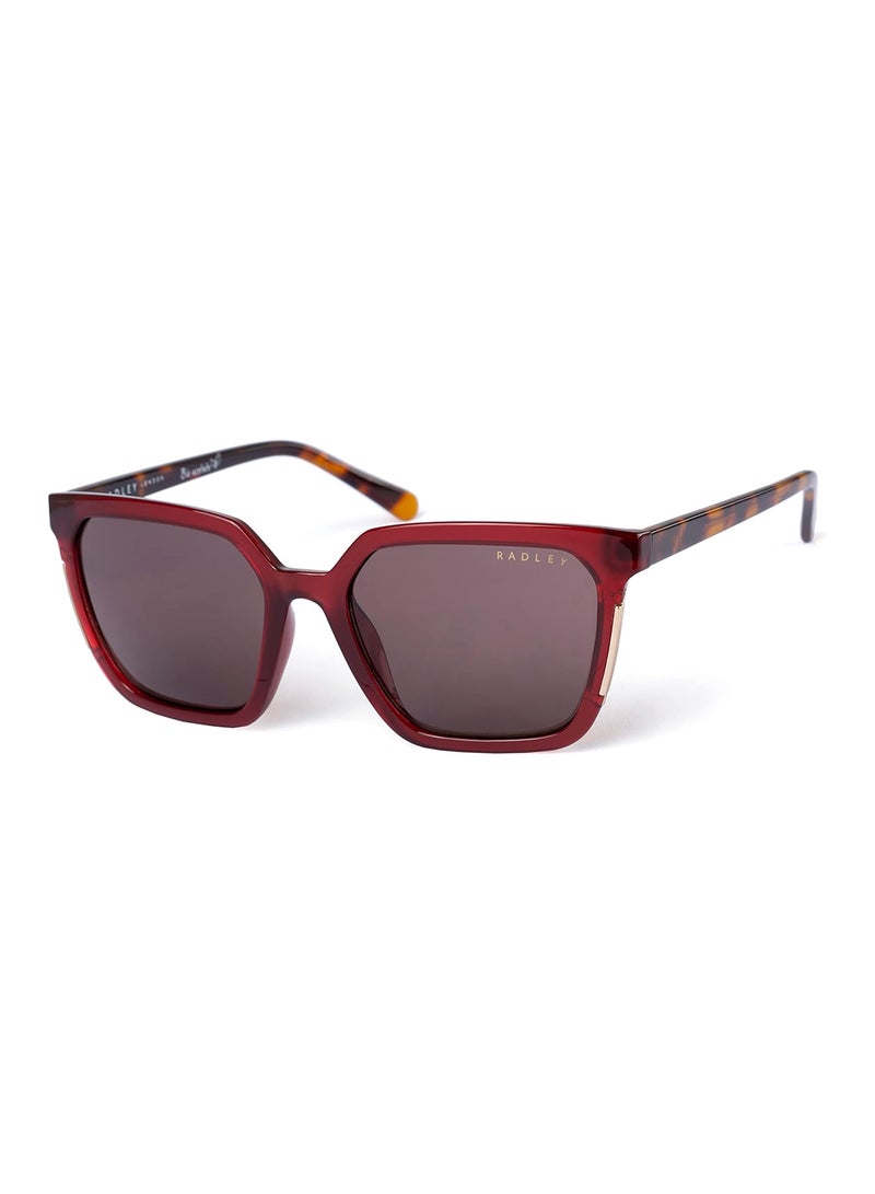 Radley نظارات شمسية قطعية مستقطبة للنساء RDS-6506 بني 54 مم - Image 1