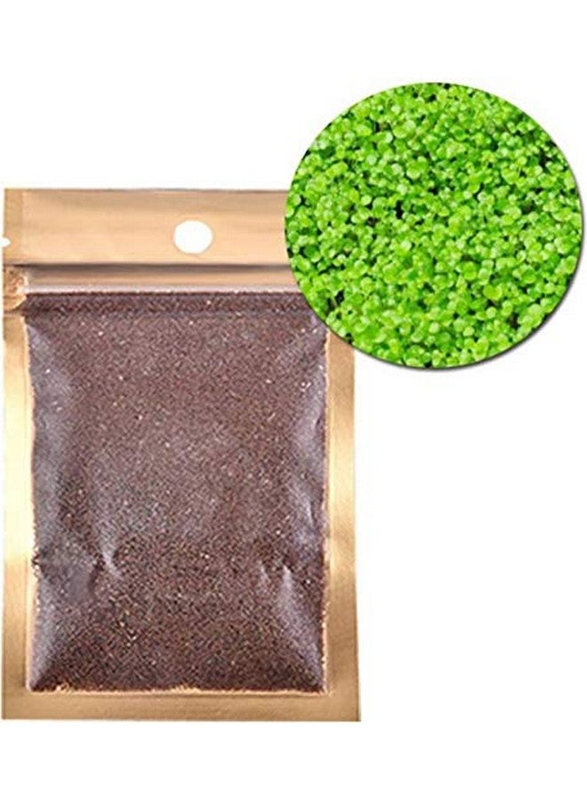 Petzlifeworld Carpet Live Grass Seeds for Aquarium Pack of 1 - Image 2