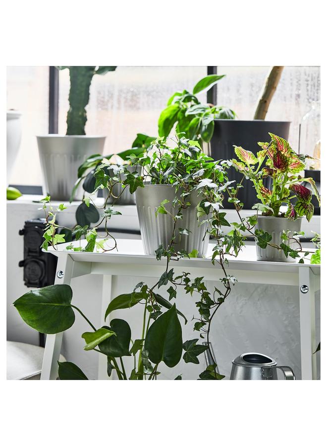 Zaboon Plant pot, in/outdoor/grey, 15 cm - Image 5