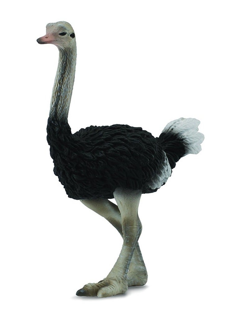 Collecta - Ostrich - 88459