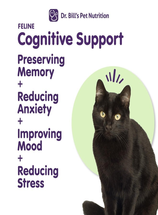 Dr. Bill's Feline Cognitive Support | Memory Support Supplement for Cats | Pet Supplement | Contains Gingko Biloba, L-Carnosine, Vitamin B-12, L-Glutamine, L-Tyrosine, and DHA - Image 3