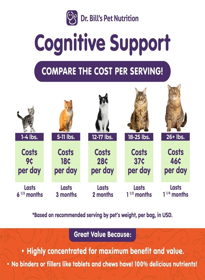Dr. Bill's Feline Cognitive Support | Memory Support Supplement for Cats | Pet Supplement | Contains Gingko Biloba, L-Carnosine, Vitamin B-12, L-Glutamine, L-Tyrosine, and DHA - Image 2