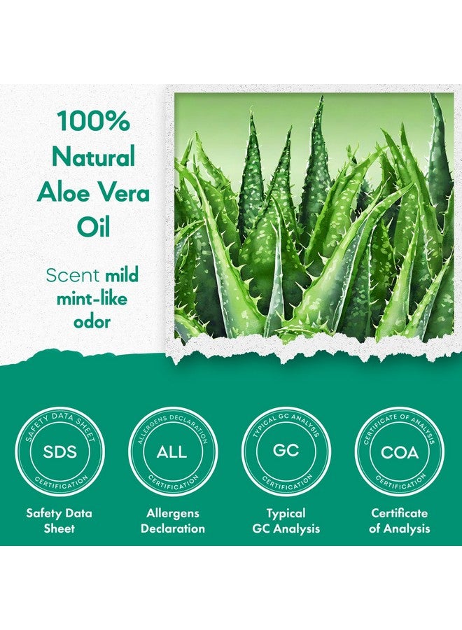 Radha Organic Aloe Vera Essential Oil - 100% Pure Aloe Vera Oil for Skin, Hair, and Aromatherapy, 10 ML - Image 5