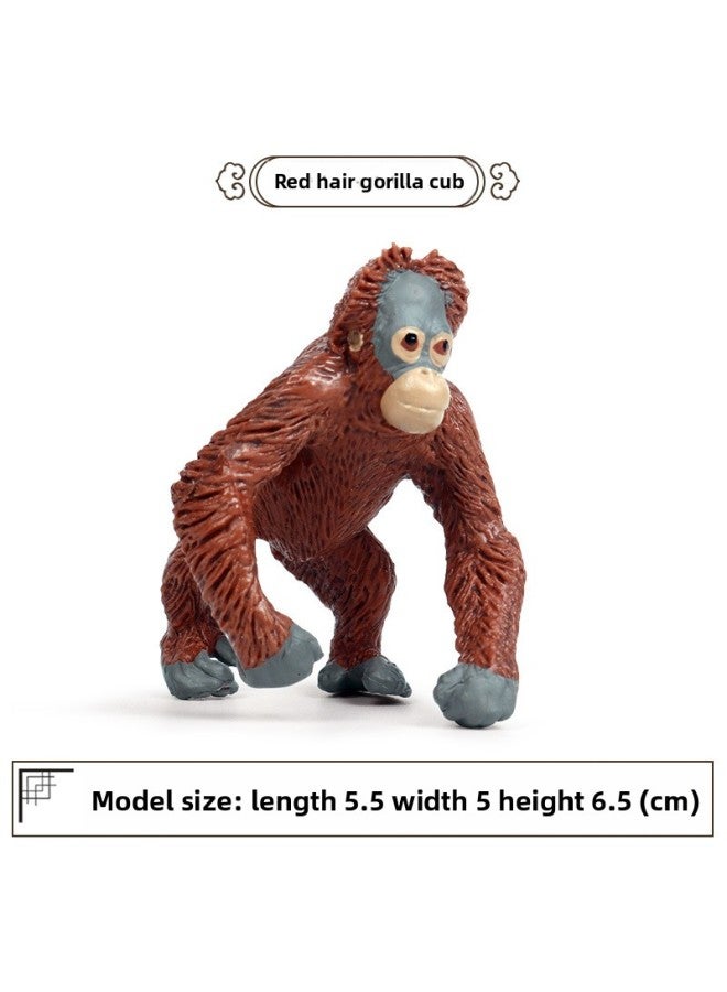 Children's Cognitive Solid Simulation Animal Model Gorilla Monkey Ape Wild Animal Plastic Model Toy Ornaments-Color:M-193 Orangutan Cub 【0.033KG】】 - Image 1