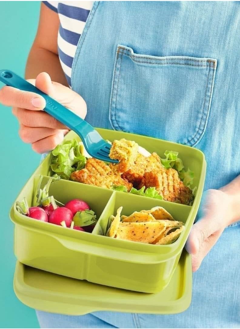Tupperware - Divided Lunch Box 1L - Image 1