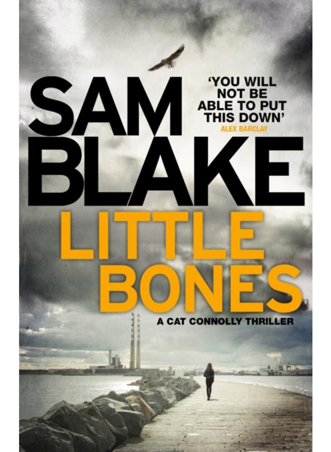 Little Bones : A disturbing Irish crime thriller