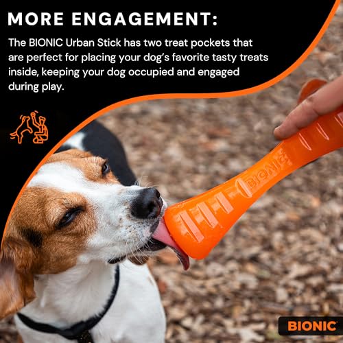 BIONIC Urban Stick Dog Toy, Medium - Interactive Dog Chew Toy That Stands Up to The Toughest Chewers, for Dogs Between 15-35 lbs. (7-15 kg.) - Image 5