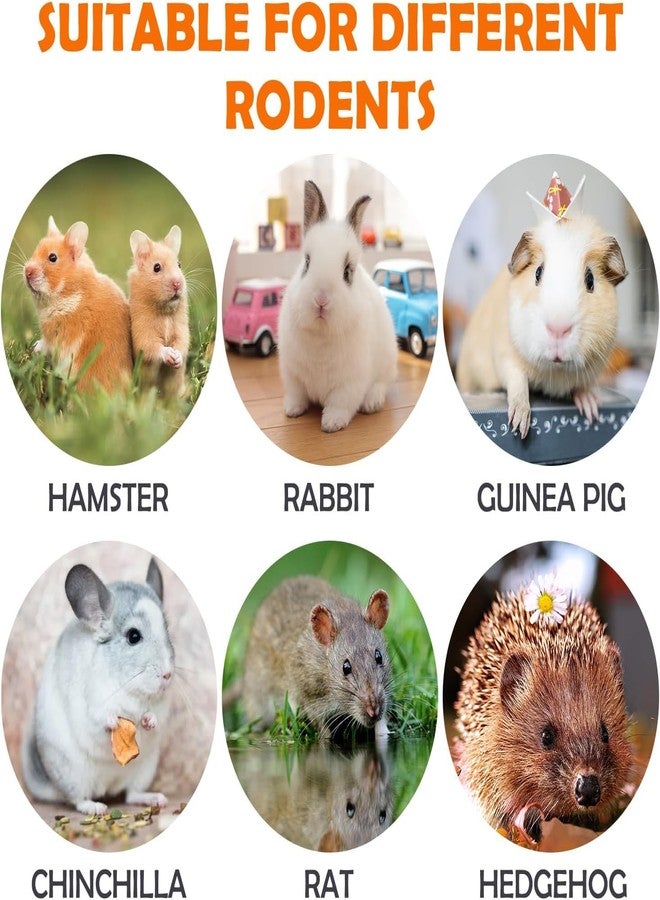 Sofier 16Pcs Timothy Hay Treats - Natural Chews for Teeth - Handmade Rabbit, Chinchilla, Gerbil, Rat, Hamster Toys - Bunny & Guinea Pig - Image 3