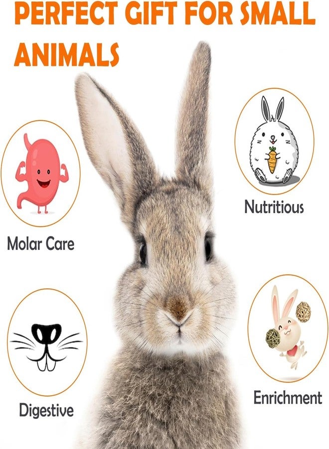 Sofier 16Pcs Timothy Hay Treats - Natural Chews for Teeth - Handmade Rabbit, Chinchilla, Gerbil, Rat, Hamster Toys - Bunny & Guinea Pig - Image 4