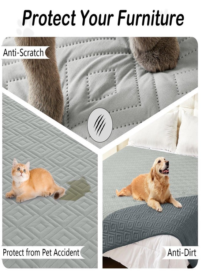 هيها بطانية مقاومة للماء للكلاب من هيها، غطاء سرير ناعم للكلاب، بطانيات للحيوانات الأليفة، غطاء أريكة مقاوم للماء للكلاب قابل للغسل، أغطية أريكة قابلة للعكس للحيوانات الأليفة (40 × 90 بوصة، رمادي/رمادي داكن) - Image 3
