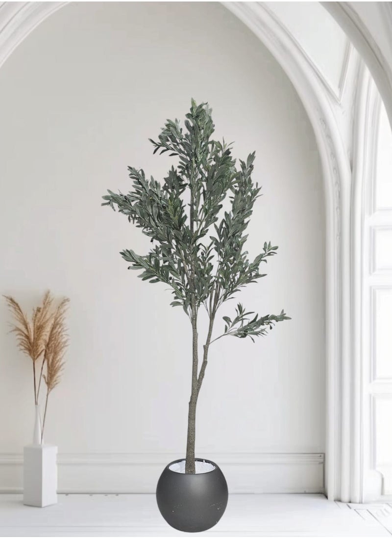 Fruitful olive tree with a large gray pot with an attractive design, make your home more elegant, 220 cm - pzsku/ZC087FCA9BA7E7886340DZ/45/_/1731767863/9a67127a-2185-46b4-aa66-abe662c68cb8