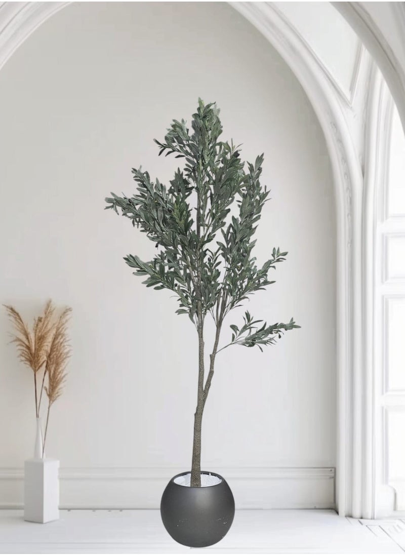 Fruitful olive tree with a large gray pot with an attractive design, make your home more elegant, 220 cm - pzsku/ZC087FCA9BA7E7886340DZ/45/_/1731767865/24bb3f6d-c9da-4f45-bacc-3249e379a4f3