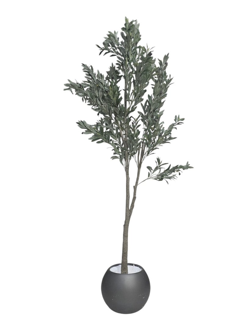 Fruitful olive tree with a large gray pot with an attractive design, make your home more elegant, 220 cm - pzsku/ZC087FCA9BA7E7886340DZ/45/_/1731767873/fecf9e76-649b-4766-9ba3-2fc4eeb7dad7