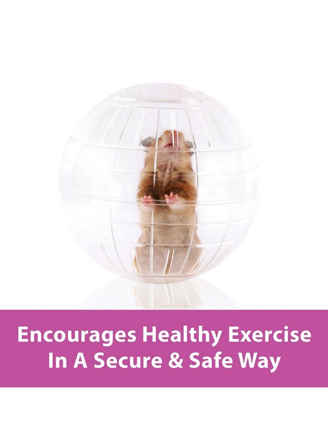 Kaytee 7" Clear Run-About Exercise Ball For Pet Hamsters & Gerbils - Image 2