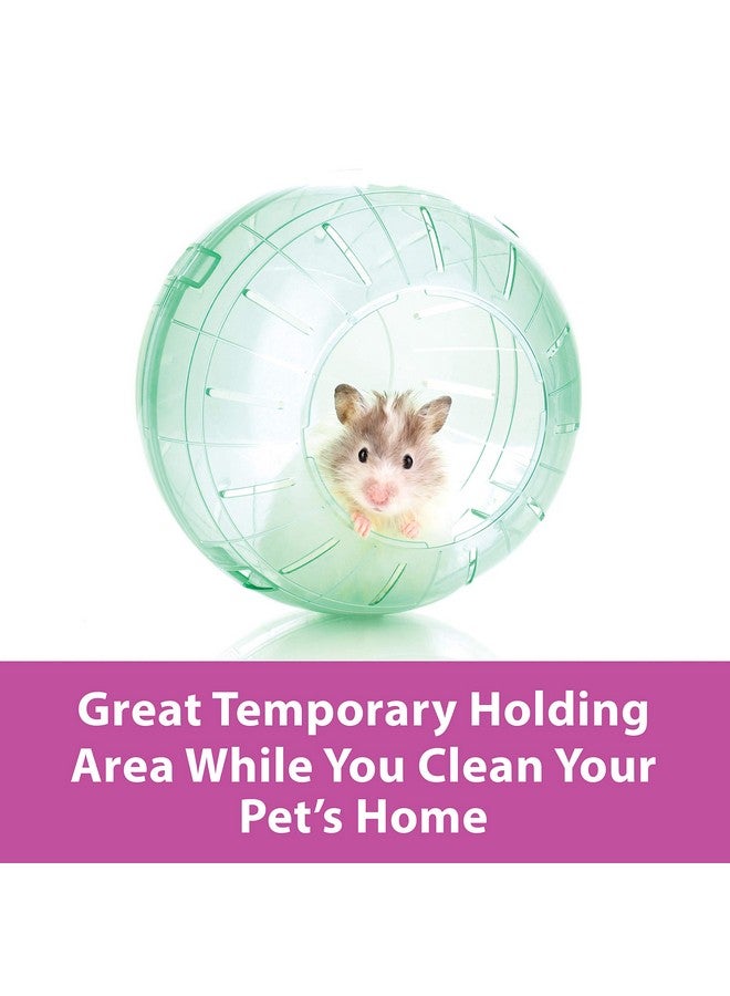 Kaytee 7" Clear Run-About Exercise Ball For Pet Hamsters & Gerbils - Image 3