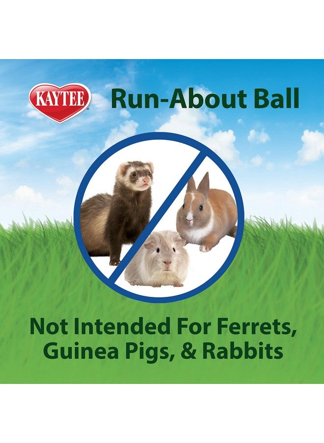 Kaytee 7" Clear Run-About Exercise Ball For Pet Hamsters & Gerbils - Image 5