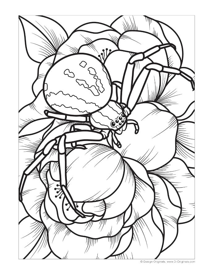 Super Cool Bugs and Spiders Coloring Book: Color and Learn About Amazing Insects from the Around the World  - Image 2